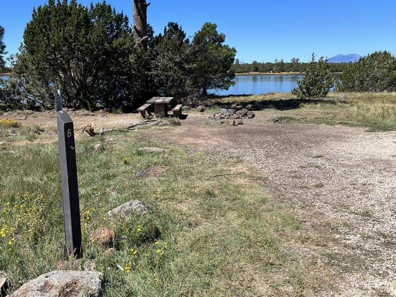 Forked Pine Campground - Site 6