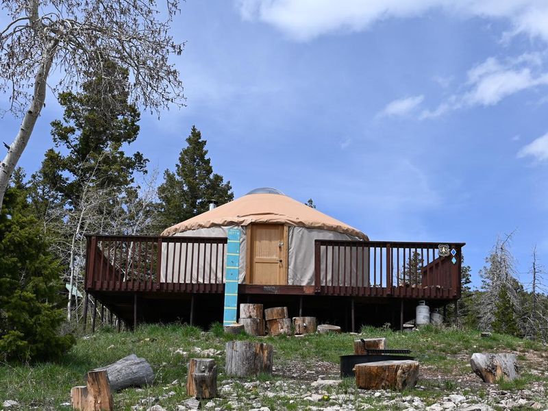 Limber Yurt and firepit