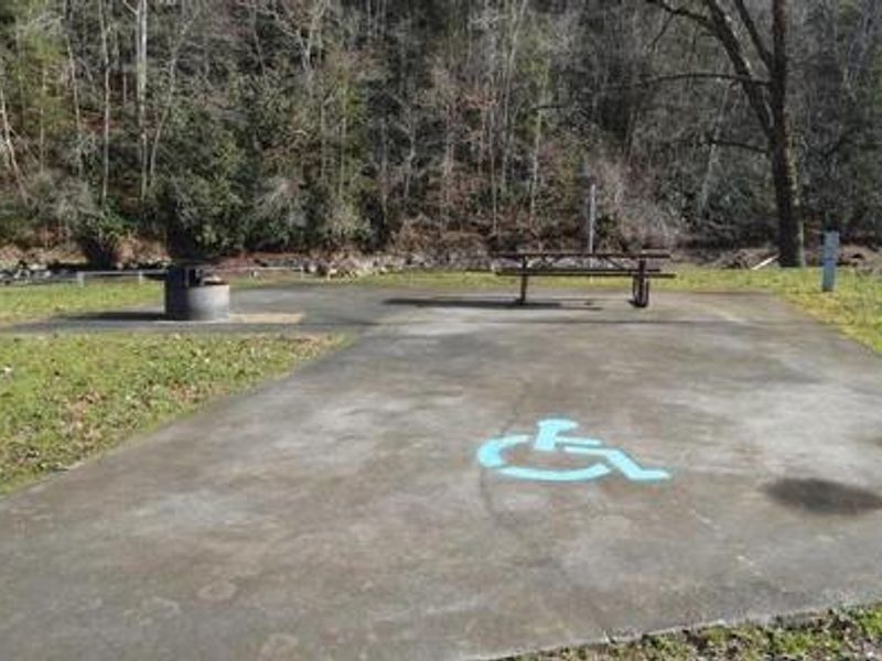 Handicap Site