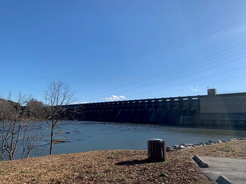 Welcome to Tailrace Park! This is the view from the shelter! If you enjoy birding, this is a great place to come!