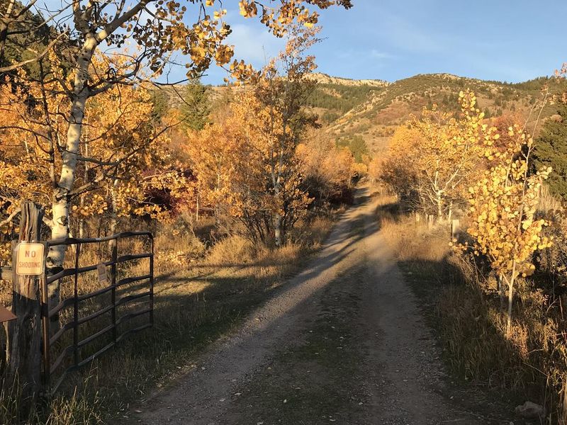 Renters will need to call to get the access code to the entrance gate and cabin. 