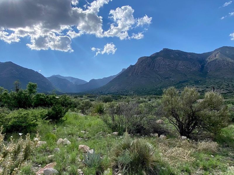 Pine Springs Campground sits in the opening to Pine Springs Canyon