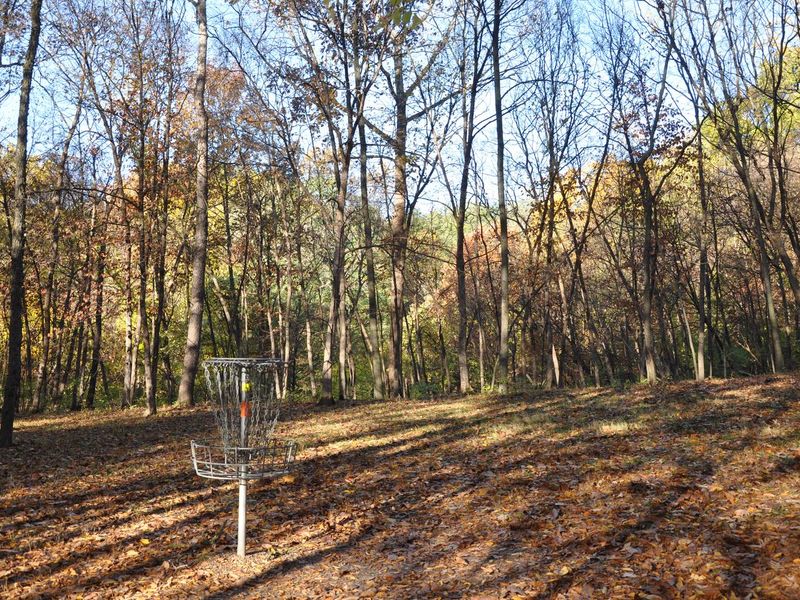 Disk Golf
