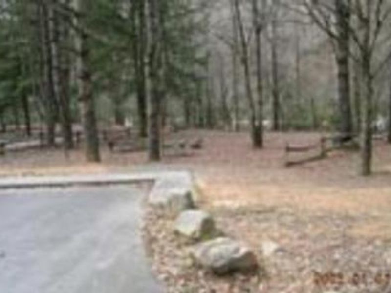 Group camp area