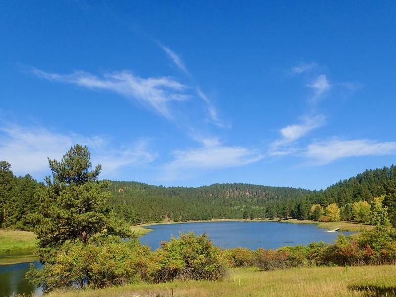 Cook Lake Late Summer