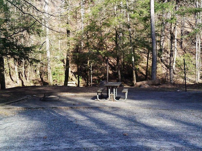 Welcome to campsite #6 the last creek side campsite before crossing the ford.