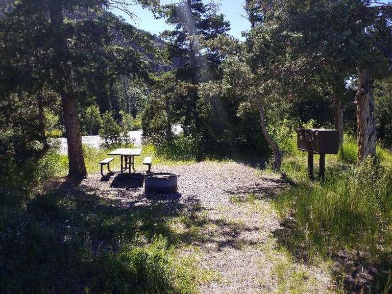 Clearwater Campstie with river in background