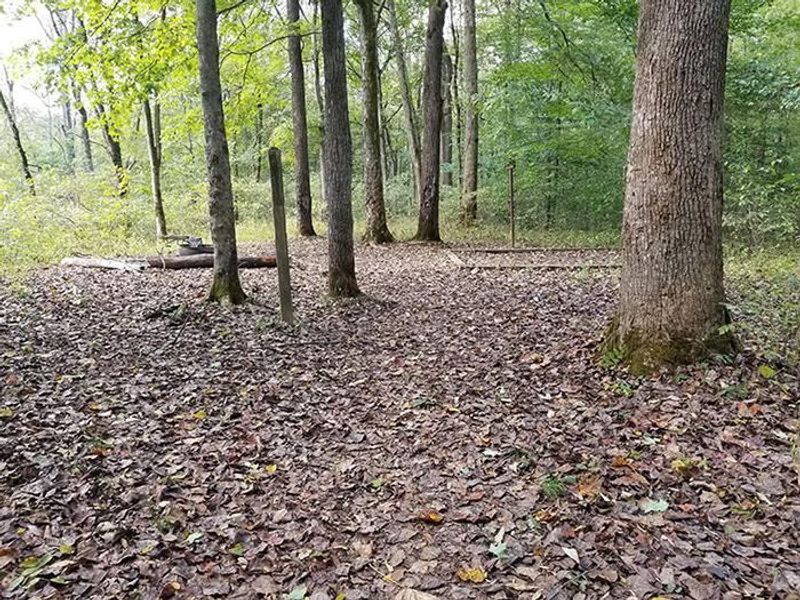 First Creek 1 Campsite