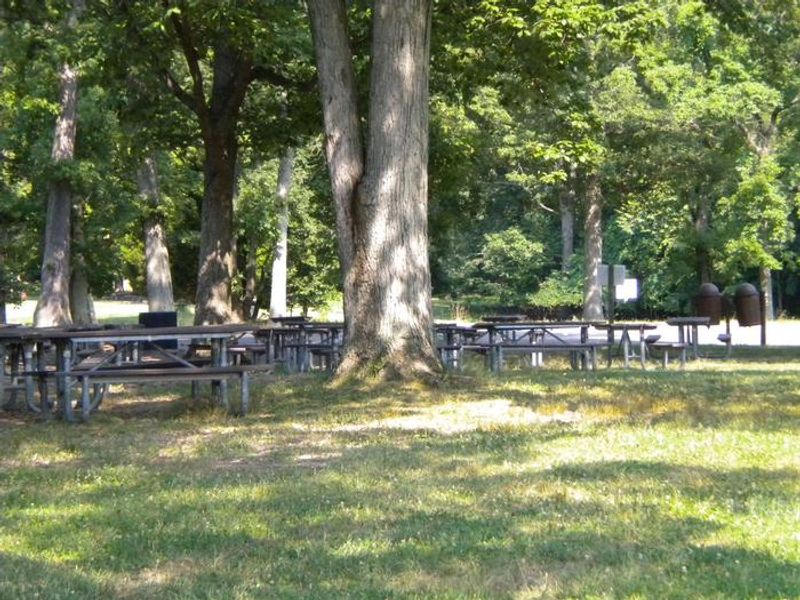 Picnic Area B2, is close the the parking lot and the small playground