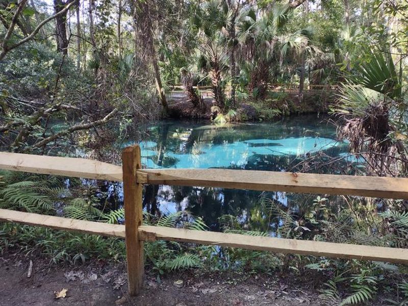 This spring is not for swimming, but is beautiful. A short hike from the swimming area gets you here. 