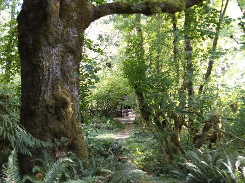 shelter to reserve at Clay Creek