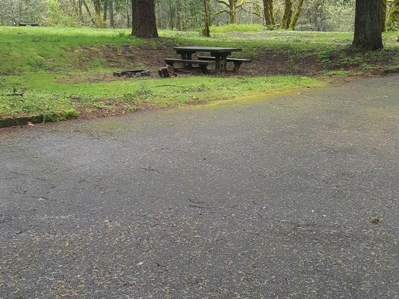 Wyeth campground Site #13 - adjacent to grassy field; room for many cars