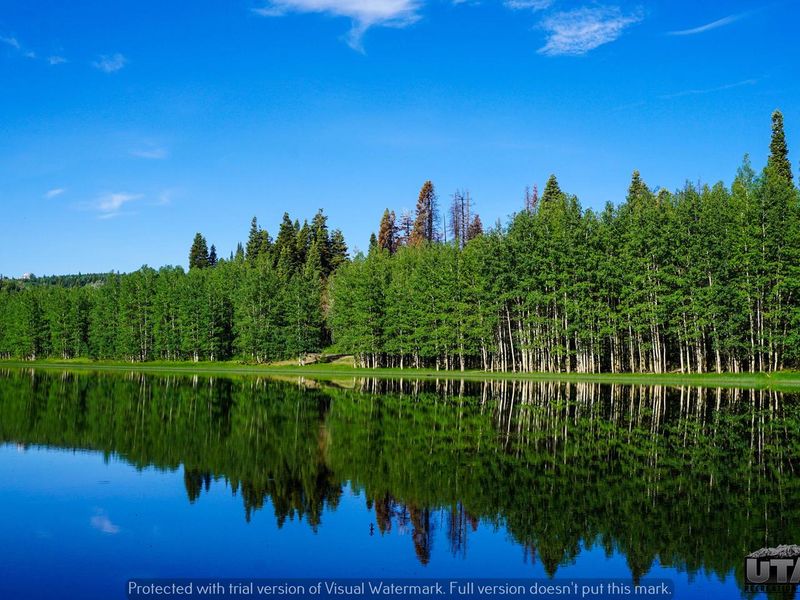 Payson Lakes Campground