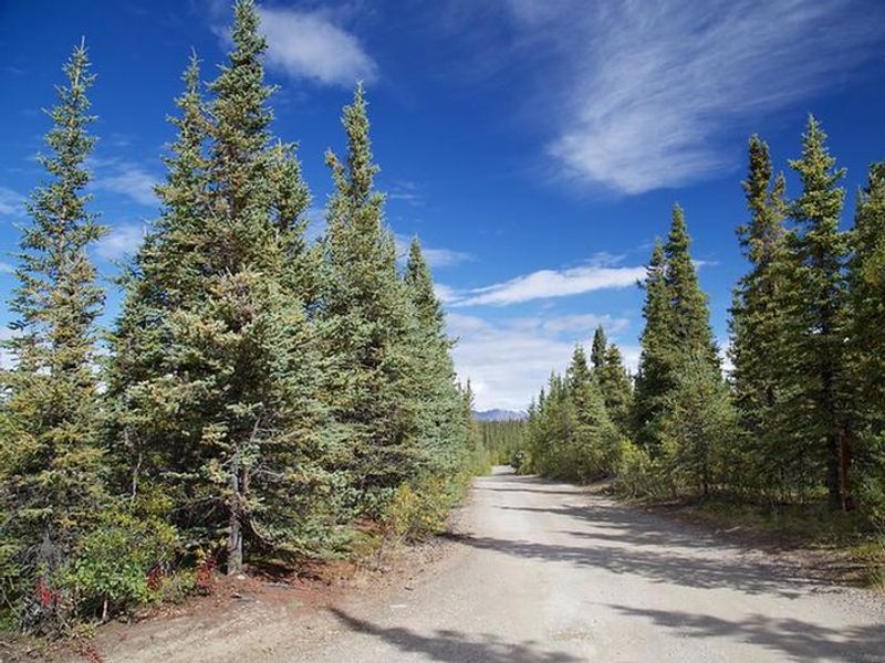 Brushkana Creek Entrance Road 