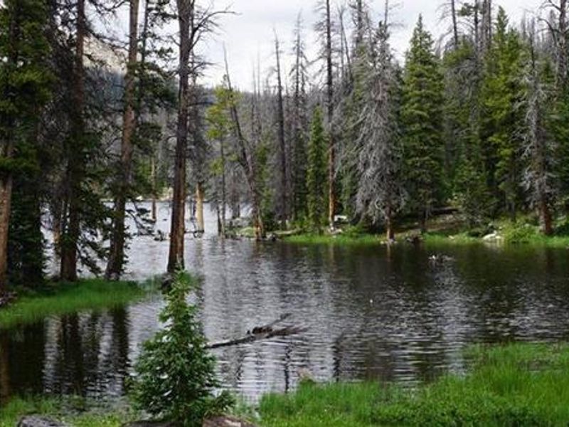 Trial Lake Campground