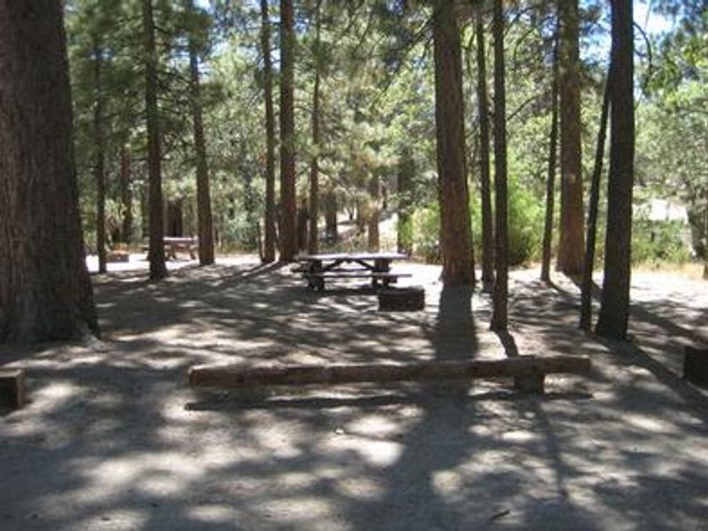 Crab Flats Campground picnic tables and log benches under the shade