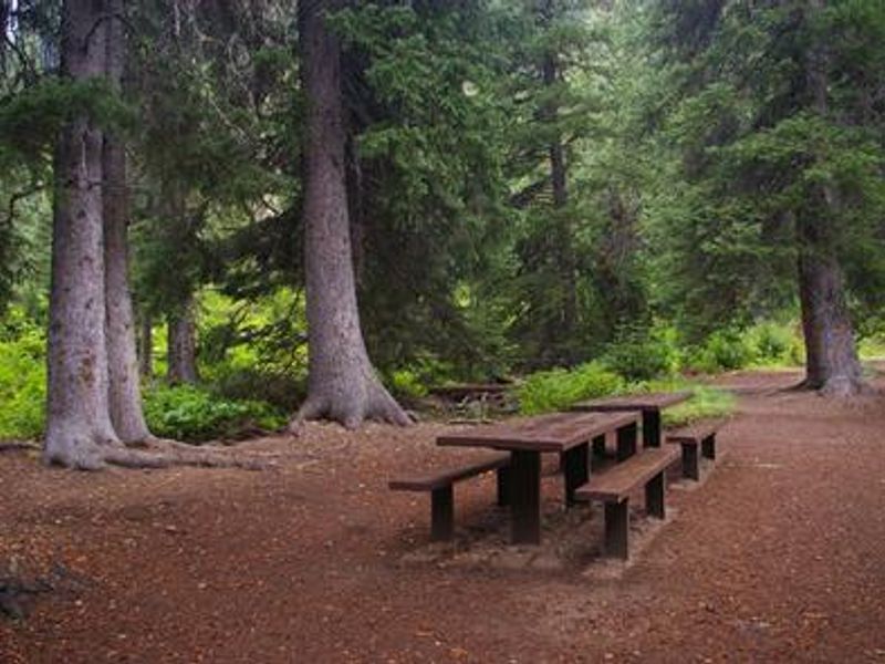 tent site with picnic tables