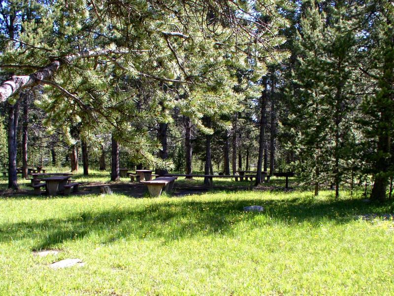 Willow Park Group Area