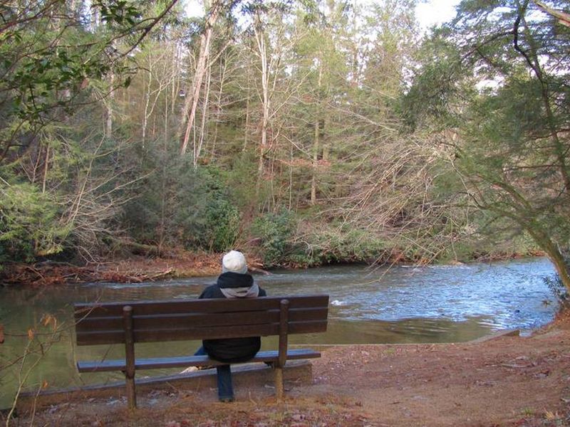 Bench Close to Fishing Pier