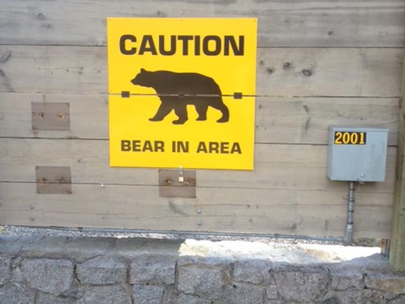 Bear aware sign