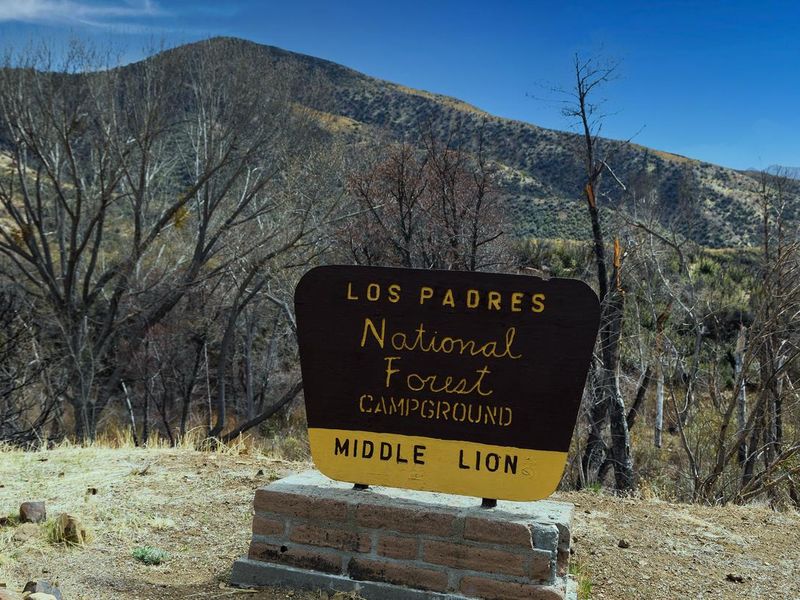 MIDDLE LION CAMPGROUND