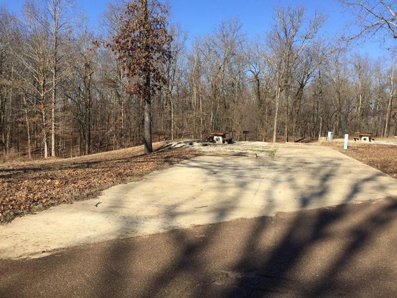 Pat's Bluff Campsite 4