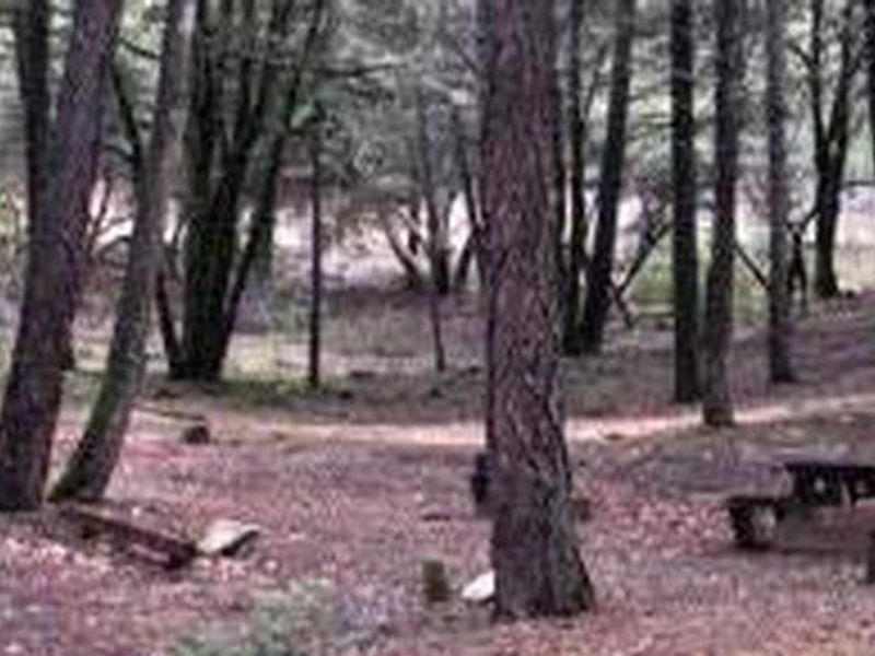 Hayden Flat Campground Group Sites
