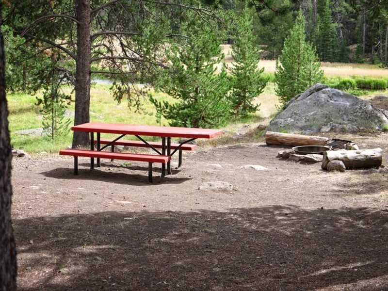 Campsite in Island Park Campground