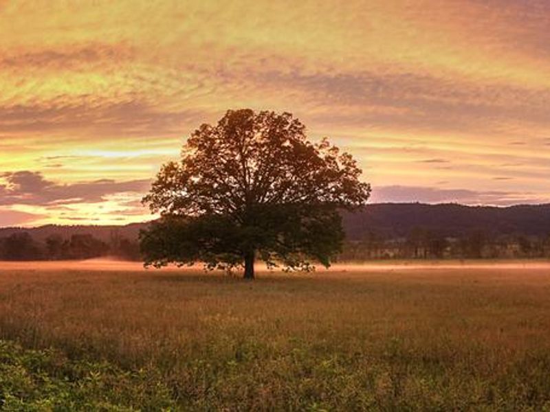 Cades Cove Campground