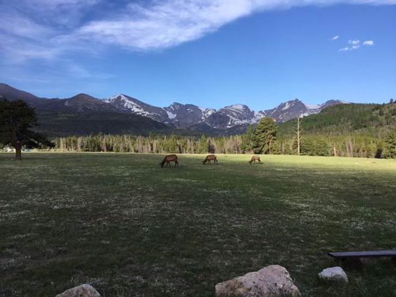 Glacier Basin Meadow with the Continental Divide in background
