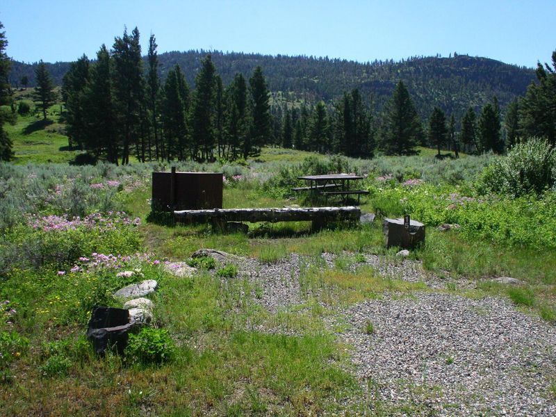 Slough Creek Campground Site #15