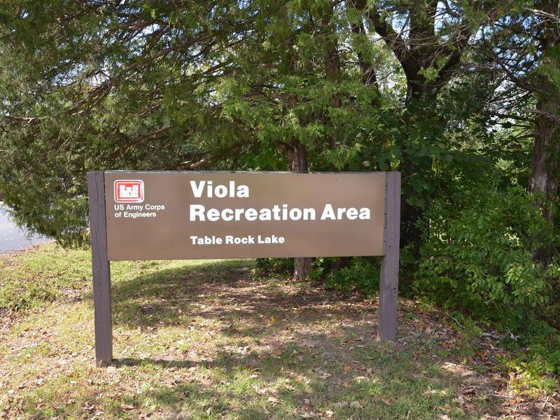 Viola Entrance