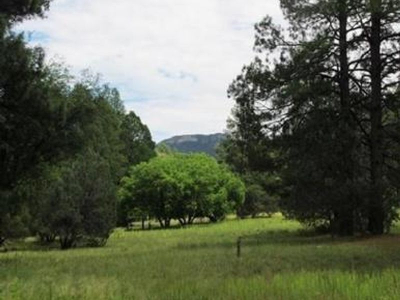 Reynolds Creek Group Campground
