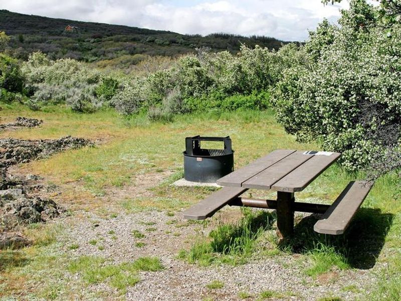 A campsite at South Rim Campground showing the firepit and picnic table.