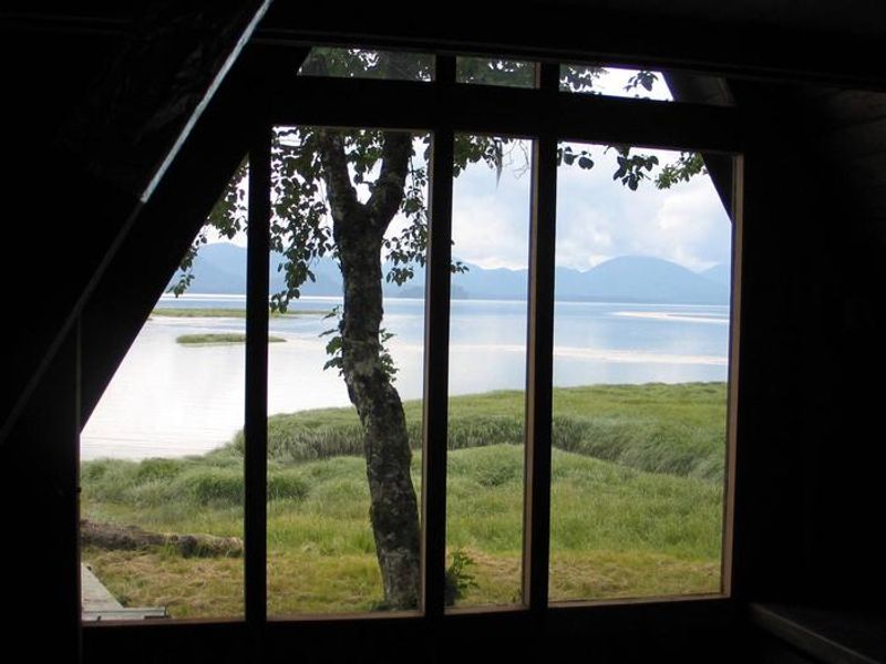 View from Mallard Slough Cabin
