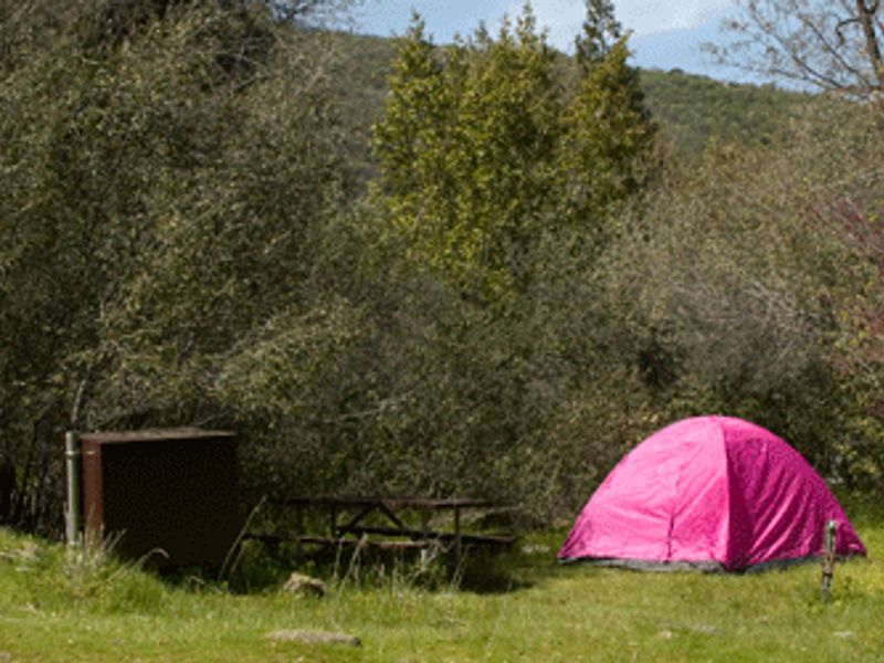 South Fork Campground campsite