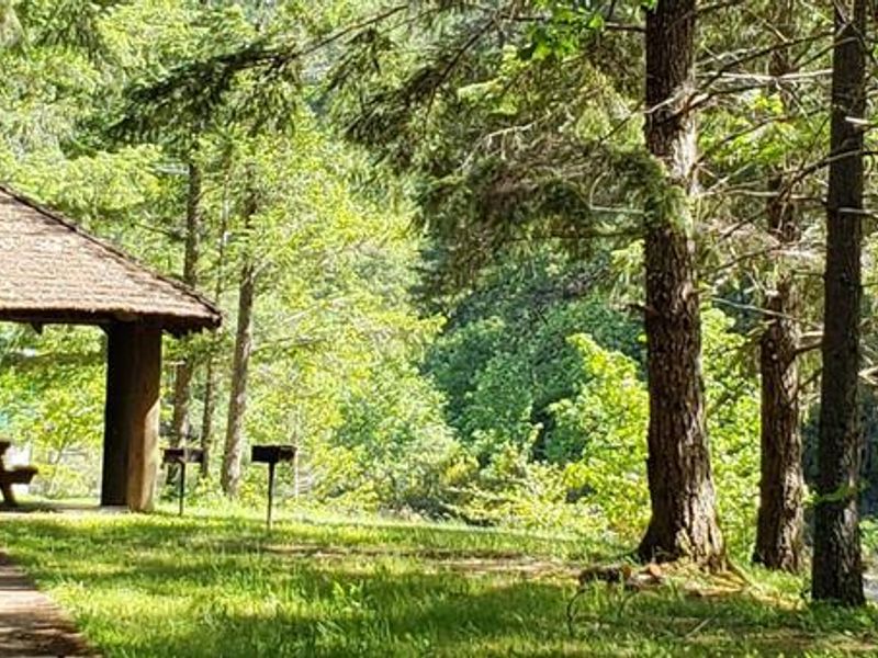 Canton Creek Picnic Shelter