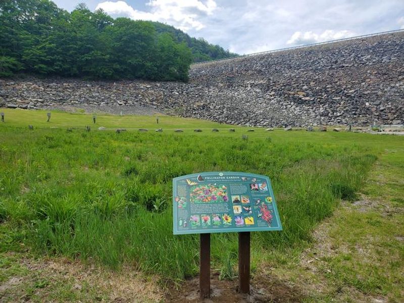 Townshend Fish Trap Pollinator Garden