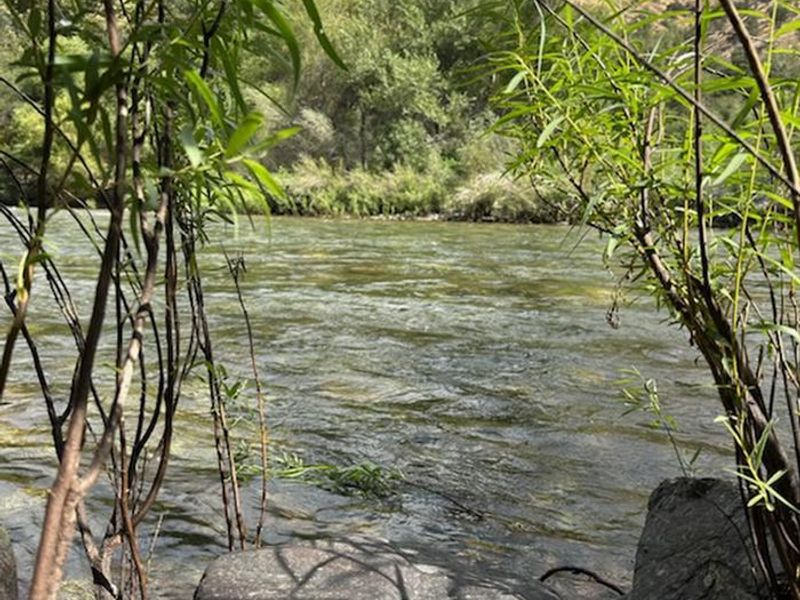 The Kings River and surrounding foothills. Always exercise caution near the river!