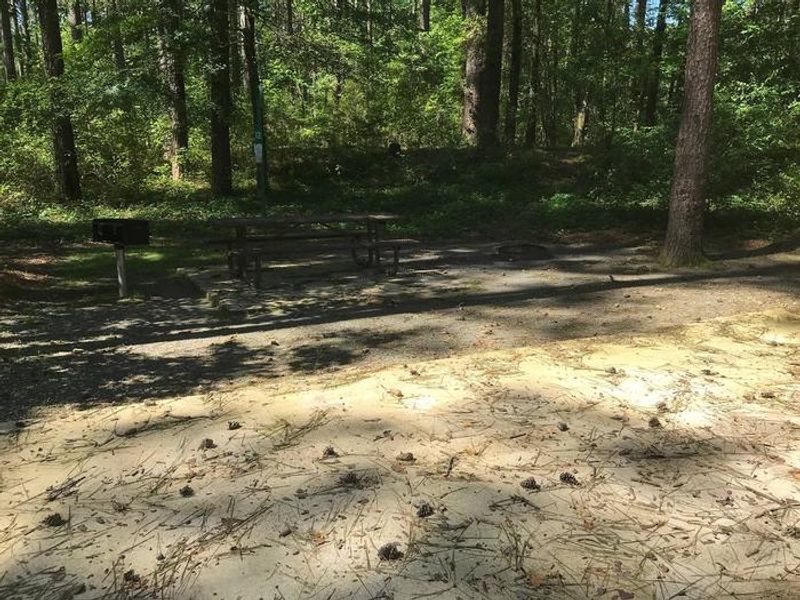 Shaded Class A Campsite #12. RV pad, water, and 20/30/50 AMP electric hook-ups as well as basic campsite amenities including a picnic table, lantern post, fire ring, trash can and grill.