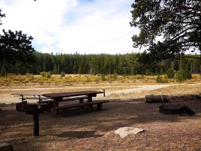 Campsite in Doyle Creek Campground