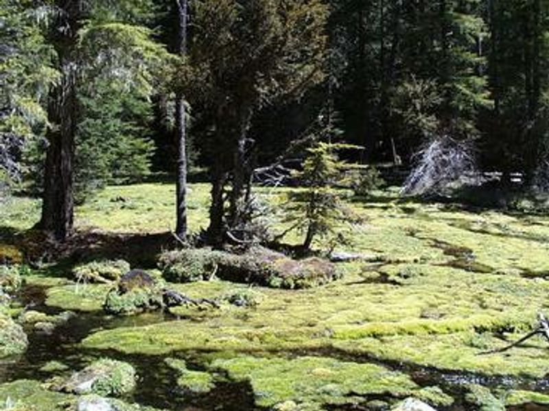 IMNAHA GUARD STATION