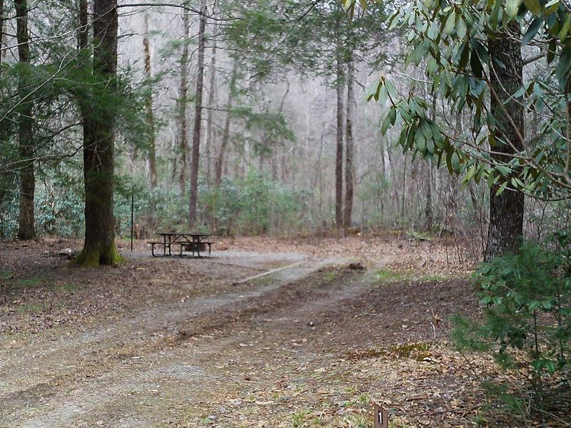 Creekside Campsite #1