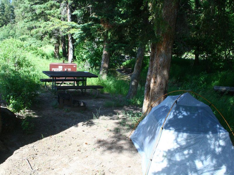 Slough Creek Campground Site #10