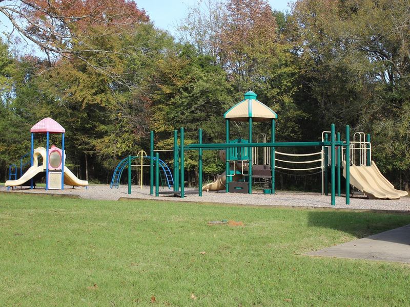 COOK DAY USE AREA - playground