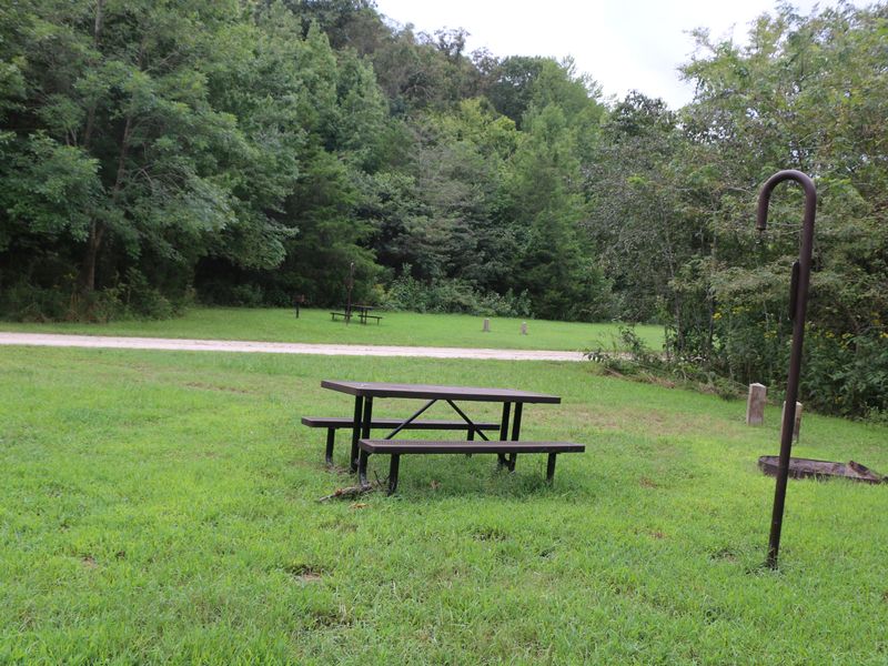 Primitive tent and RV sites available at Erbie Campground.