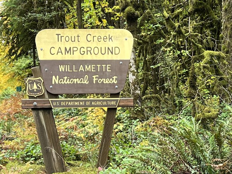 Welcomet to Trout Creek Campground - Willamette National Forest - 20 Miles East of Sweet Home, Oregon on Hwy. 20