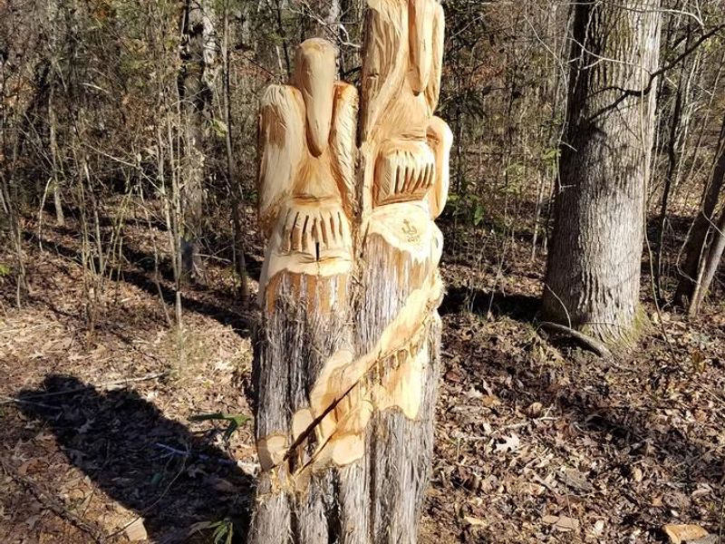 Pelican Wood Carving