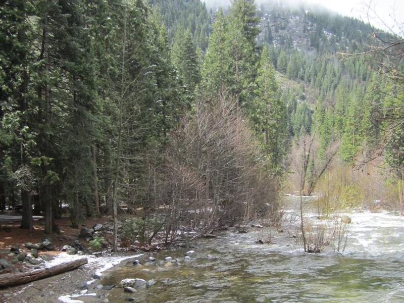 Haypress Creek at Wild Plum Campground