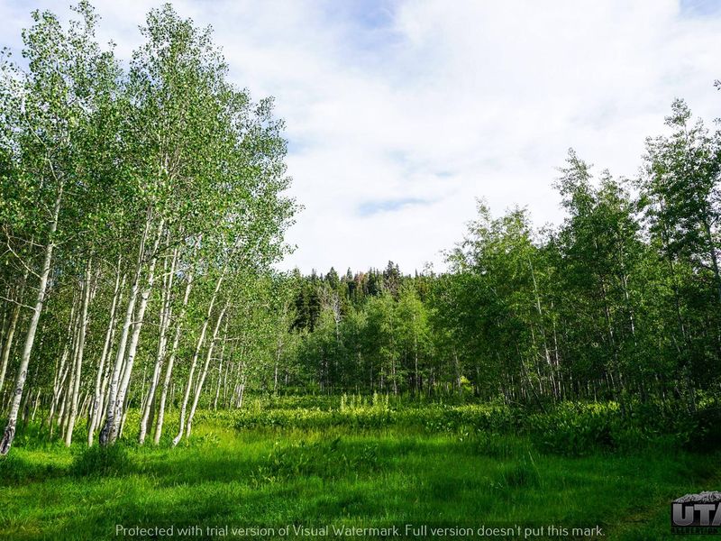 Payson Lakes Campground